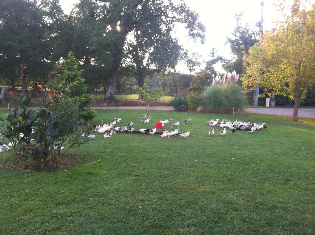 Gites De Madame Escazeaux Екстер'єр фото